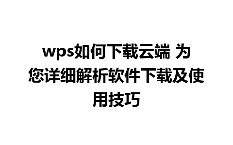 wps如何下载云端 为您详细解析软件下载及使用技巧