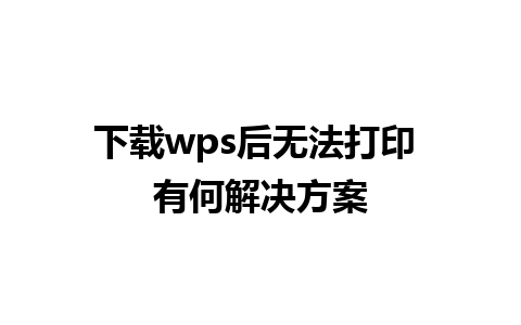 下载wps后无法打印 有何解决方案