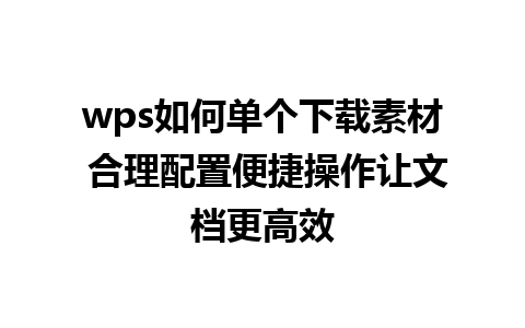 wps如何单个下载素材 合理配置便捷操作让文档更高效