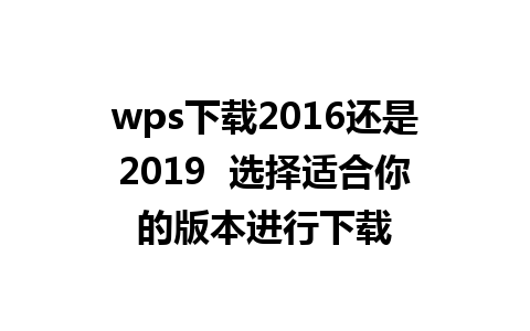 wps下载2016还是2019  选择适合你的版本进行下载