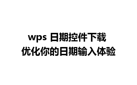 wps 日期控件下载 优化你的日期输入体验