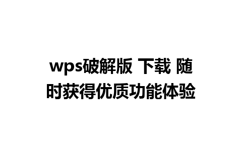 wps破解版 下载 随时获得优质功能体验