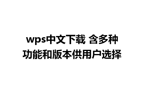 wps中文下载 含多种功能和版本供用户选择