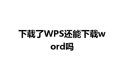 下载了WPS还能下载word吗 