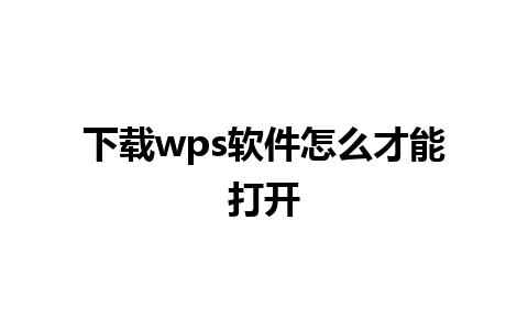 下载wps软件怎么才能打开