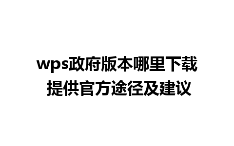 wps政府版本哪里下载 提供官方途径及建议