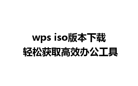 wps iso版本下载 轻松获取高效办公工具