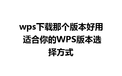 wps下载那个版本好用 适合你的WPS版本选择方式