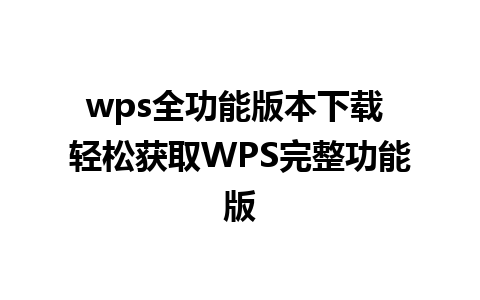 wps全功能版本下载 轻松获取WPS完整功能版