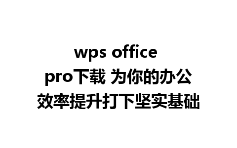 wps office pro下载 为你的办公效率提升打下坚实基础