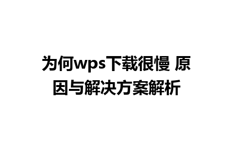 为何wps下载很慢 原因与解决方案解析