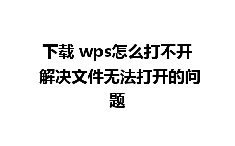 下载 wps怎么打不开 解决文件无法打开的问题