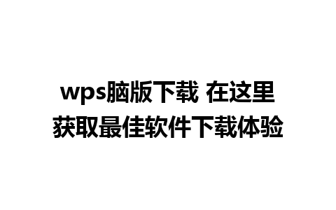 wps脑版下载 在这里获取最佳软件下载体验