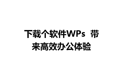 下载个软件WPs  带来高效办公体验