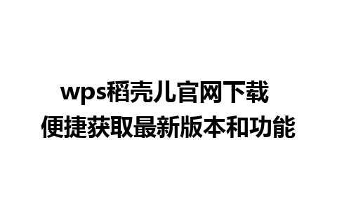 wps稻壳儿官网下载 便捷获取最新版本和功能