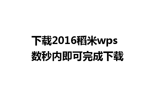 下载2016稻米wps  数秒内即可完成下载