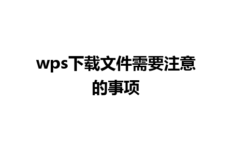 wps下载文件需要注意的事项