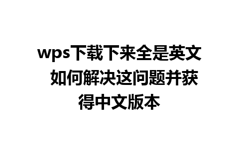 wps下载下来全是英文  如何解决这问题并获得中文版本