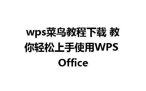 wps菜鸟教程下载 教你轻松上手使用WPS Office