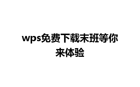 wps免费下载末班等你来体验