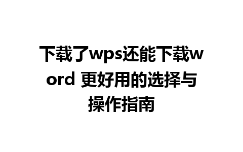 下载了wps还能下载word 更好用的选择与操作指南