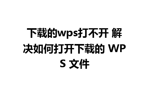 下载的wps打不开 解决如何打开下载的 WPS 文件