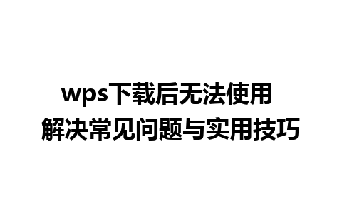 wps下载后无法使用 解决常见问题与实用技巧