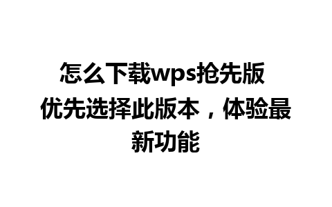 怎么下载wps抢先版 优先选择此版本，体验最新功能