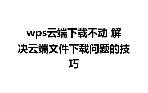 wps云端下载不动 解决云端文件下载问题的技巧