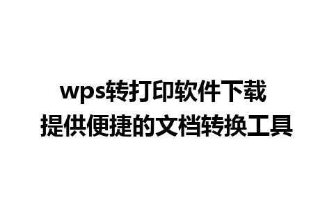 wps转打印软件下载 提供便捷的文档转换工具