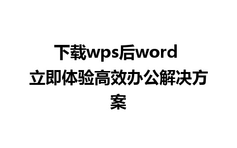 下载wps后word 立即体验高效办公解决方案