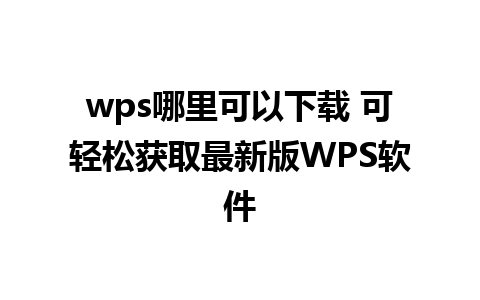 wps哪里可以下载 可轻松获取最新版WPS软件