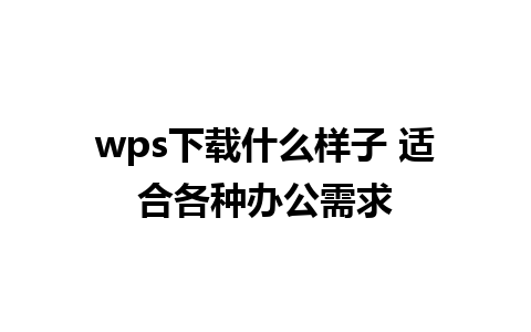 wps下载什么样子 适合各种办公需求