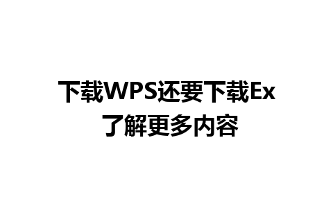 下载WPS还要下载Ex 了解更多内容