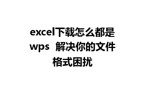 excel下载怎么都是wps  解决你的文件格式困扰