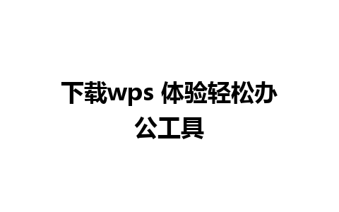 下载wps 体验轻松办公工具