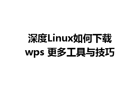 深度Linux如何下载wps 更多工具与技巧