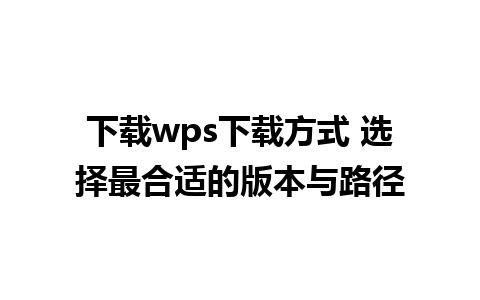 下载wps下载方式 选择最合适的版本与路径