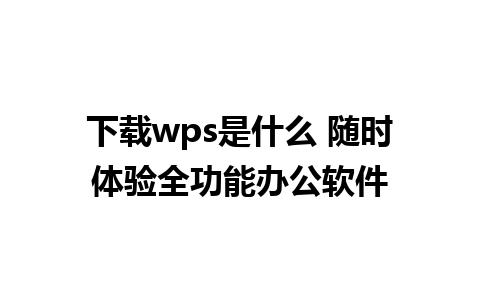 下载wps是什么 随时体验全功能办公软件