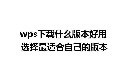 wps下载什么版本好用 选择最适合自己的版本