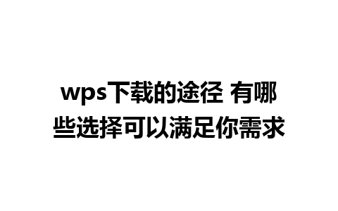 wps下载的途径 有哪些选择可以满足你需求