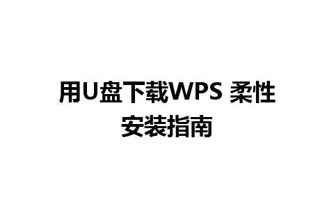 用U盘下载WPS 柔性安装指南