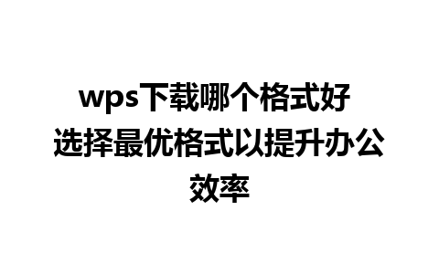 wps下载哪个格式好 选择最优格式以提升办公效率