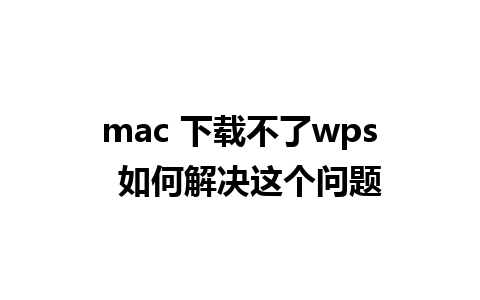 mac 下载不了wps  如何解决这个问题