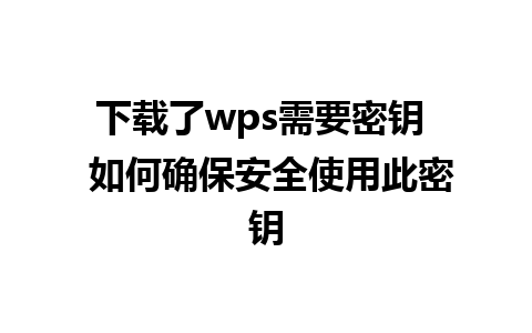 下载了wps需要密钥  如何确保安全使用此密钥