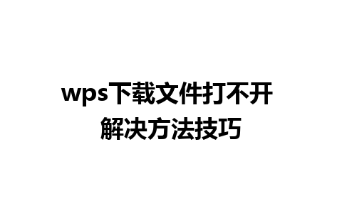 wps下载文件打不开 解决方法技巧