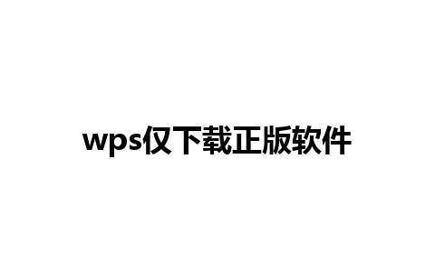 wps仅下载正版软件