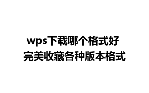 wps下载哪个格式好 完美收藏各种版本格式