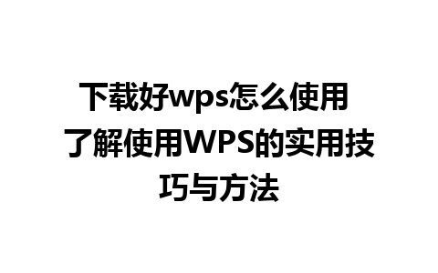 下载好wps怎么使用 了解使用WPS的实用技巧与方法