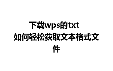 下载wps的txt  如何轻松获取文本格式文件